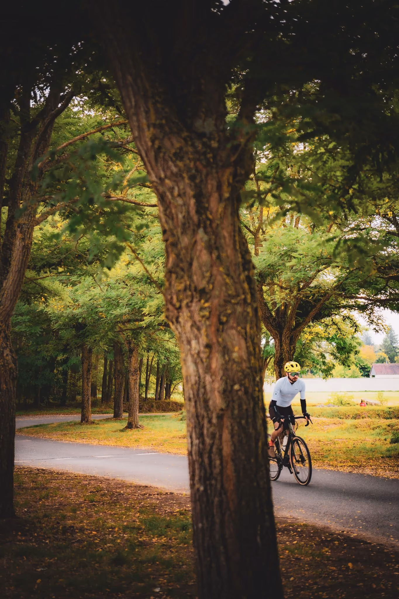 Lors de la semi-course près de Blois : à vélo sous les arbres — photo de Romain Annet